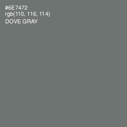 #6E7472 - Dove Gray Color Image